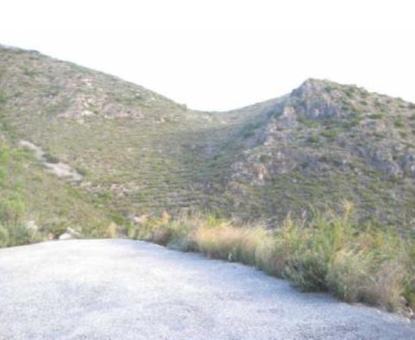 Terreno en Pego