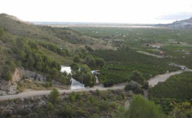 Terreno en Pego