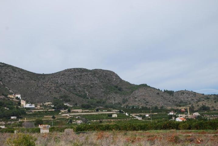 Terreno en Pego