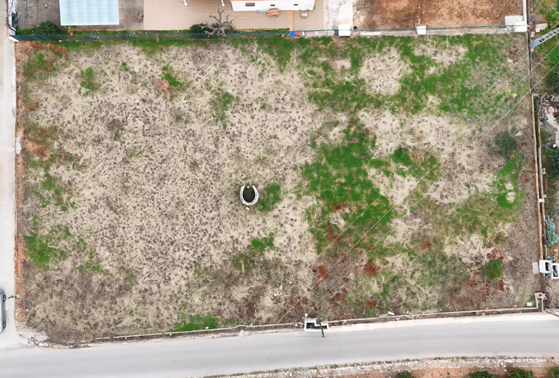 2-1-20 Terreno Rústico de 1.800 m² en Marchuquera, Palma de Gandía