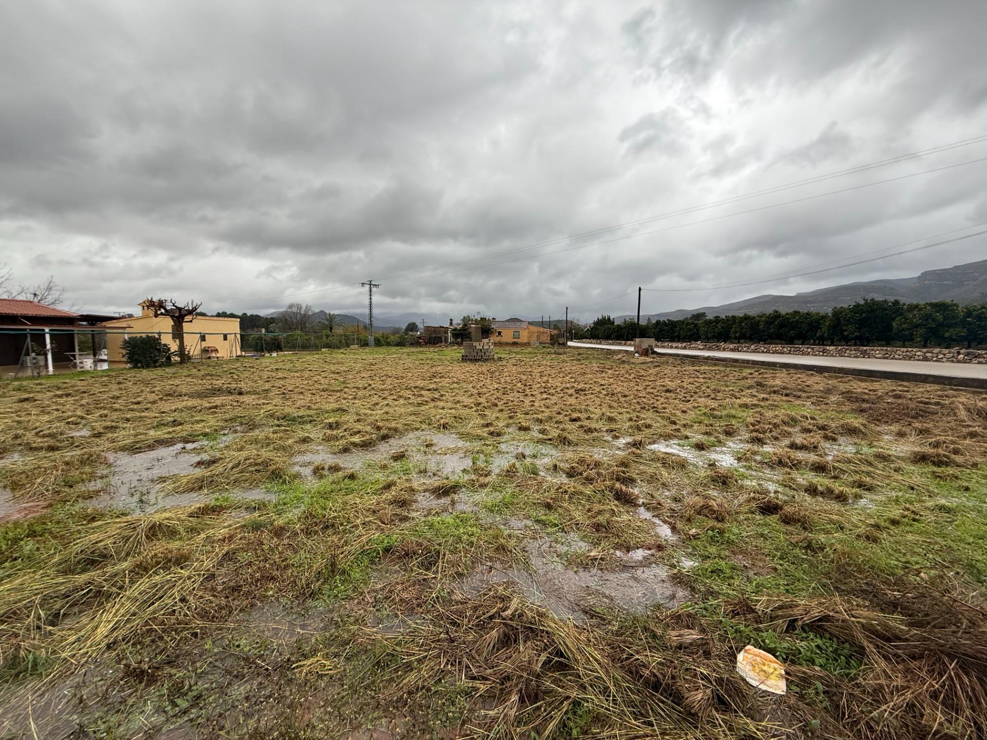 2-6-20 Terreno Rústico de 1.800 m² en Marchuquera, Palma de Gandía