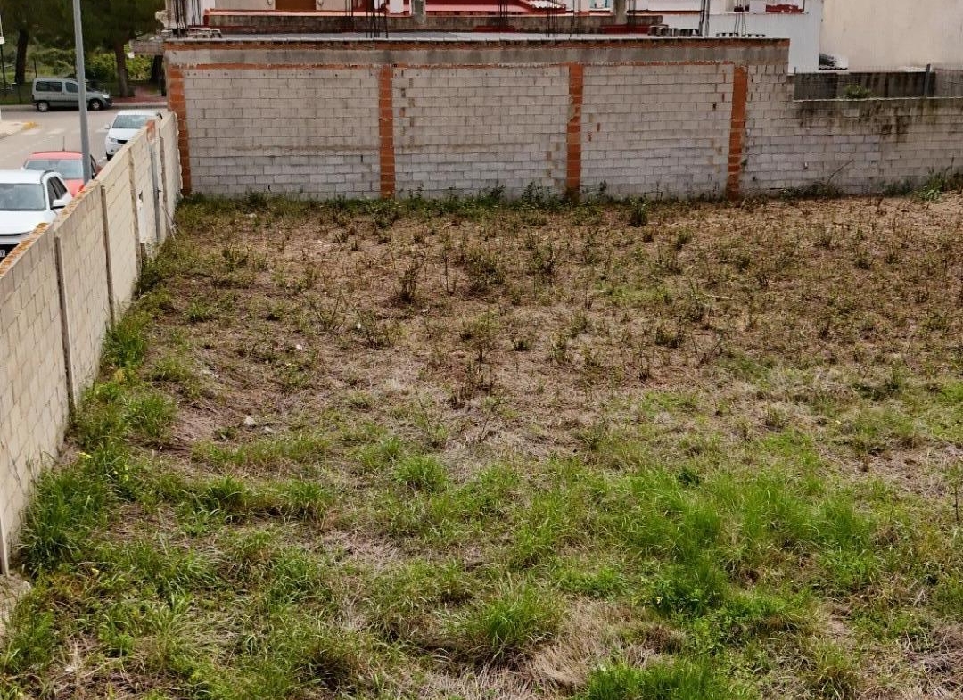 Oportunidad única de inversión – Terreno urbano en esquina de 700 m² en el corazón de Palma de Gandi